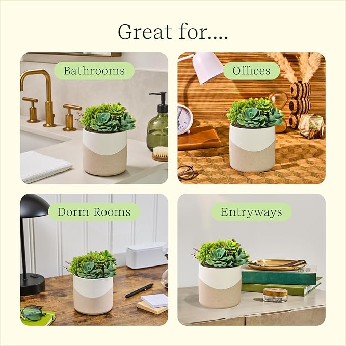 Lifelines - Plant Diffuser