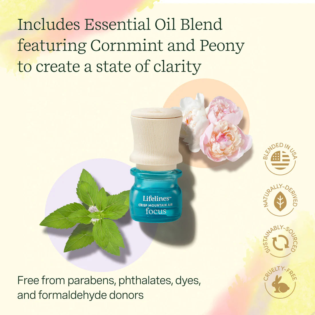 Lifelines Grounding Stones - Meditative Fidget Collection plus Essential Oil Blend