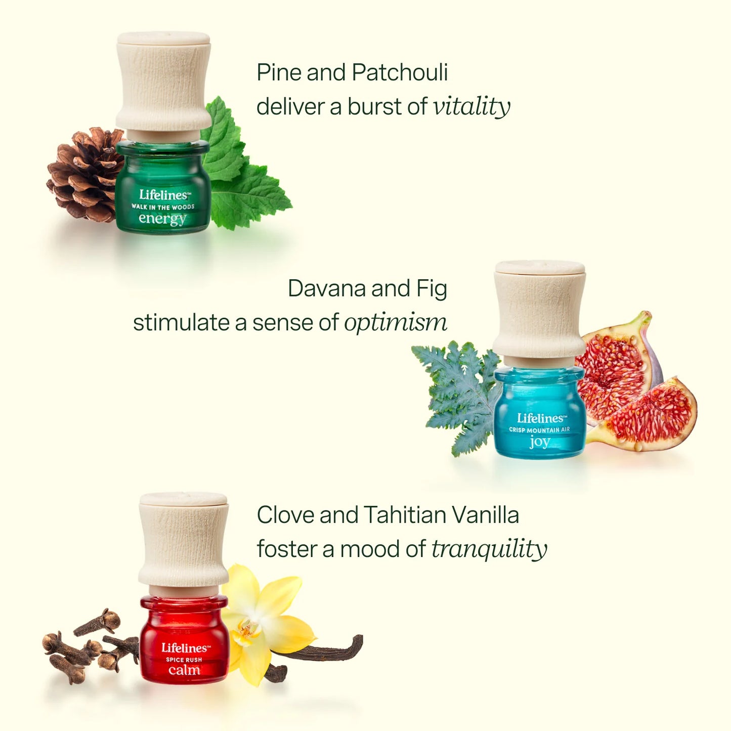 Lifelines Essential Oil Blend Discovery Set - 5 Pack