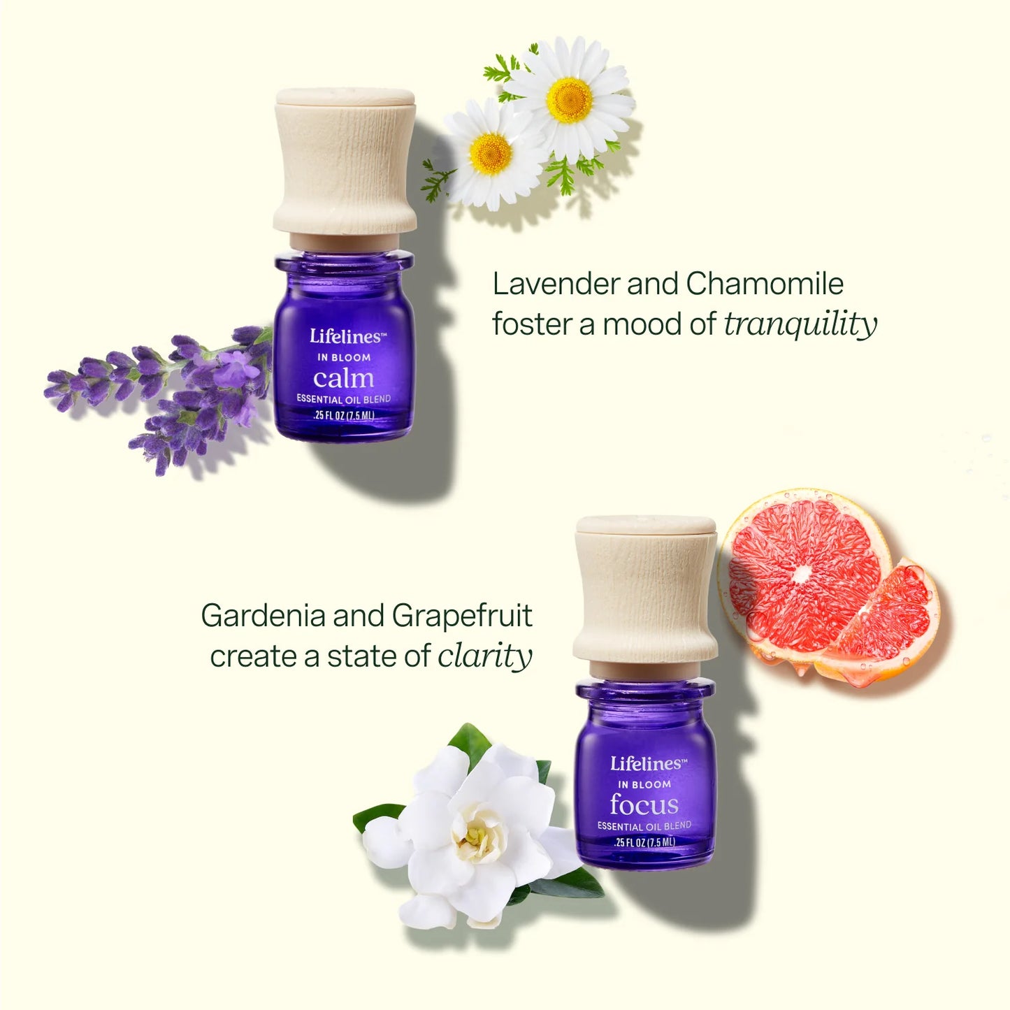 Lifelines Essential Oil Blends 4 Pack - In Bloom