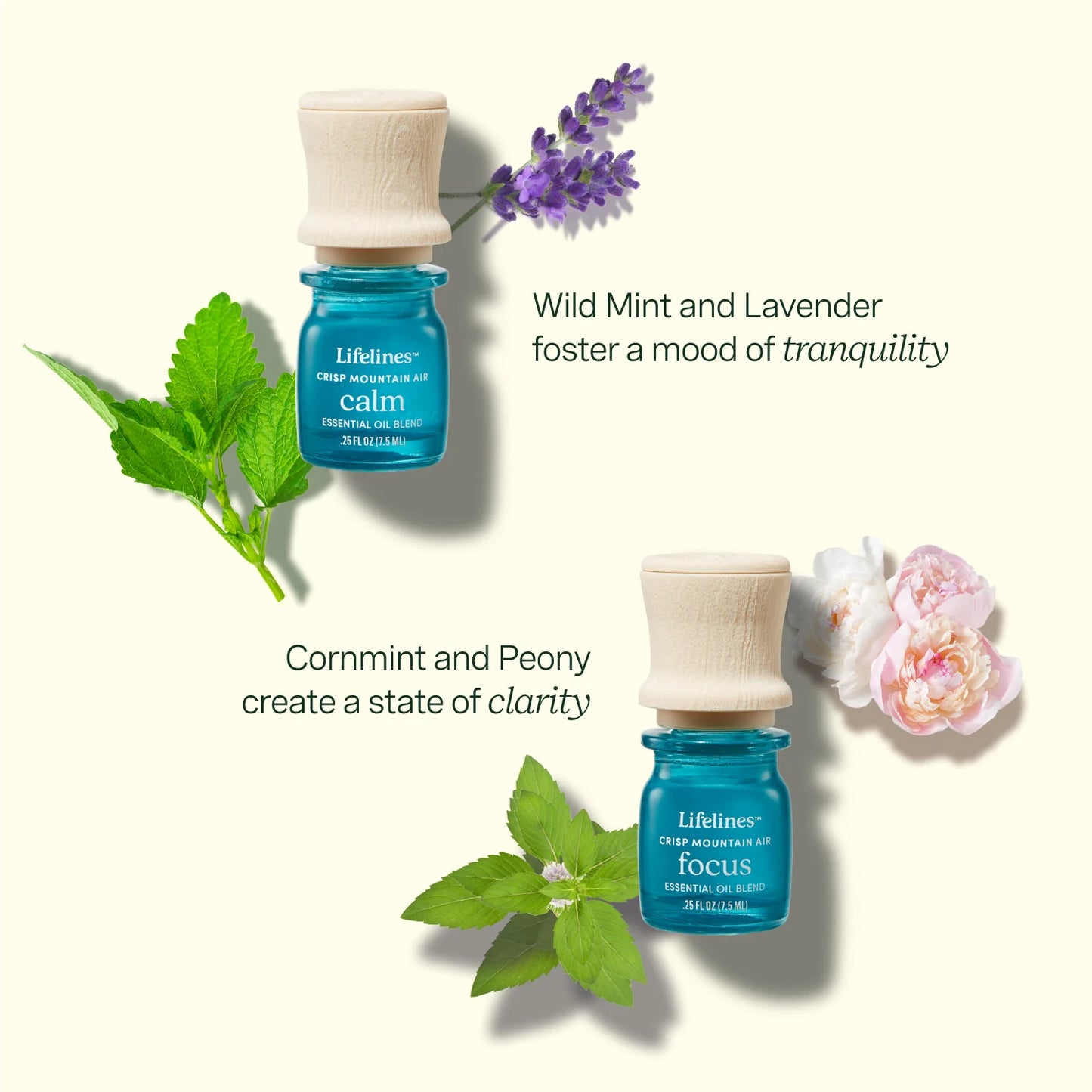 Lifelines Essential Oil Blends 4 Pack - CRISP MOUNTAIN AIR