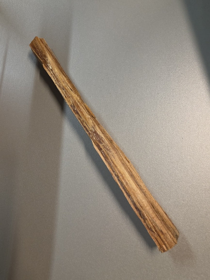 Ocote stick