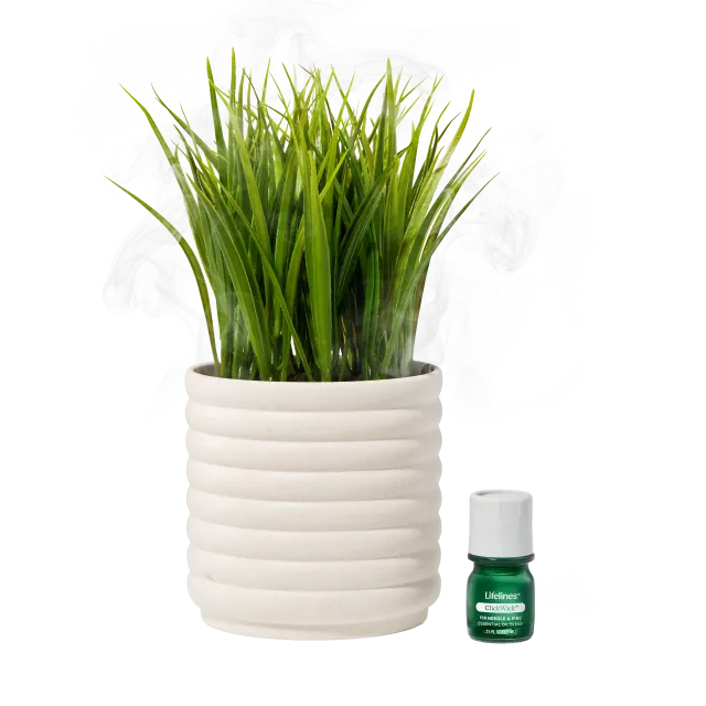 Lifelines Planter Diffuser - Bubble (Grass Plant)