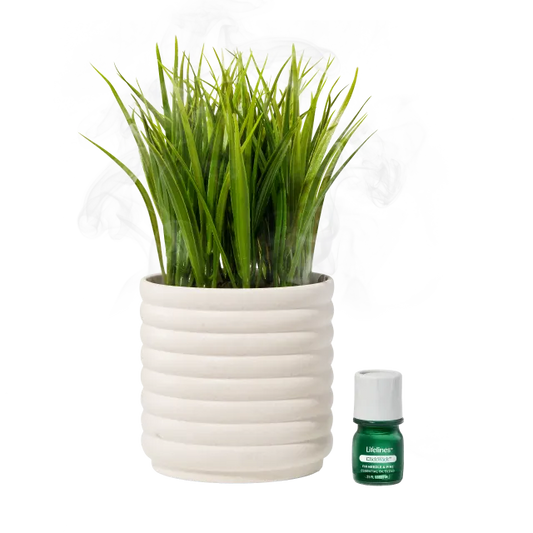 Lifelines Planter Diffuser - Bubble (Grass Plant)