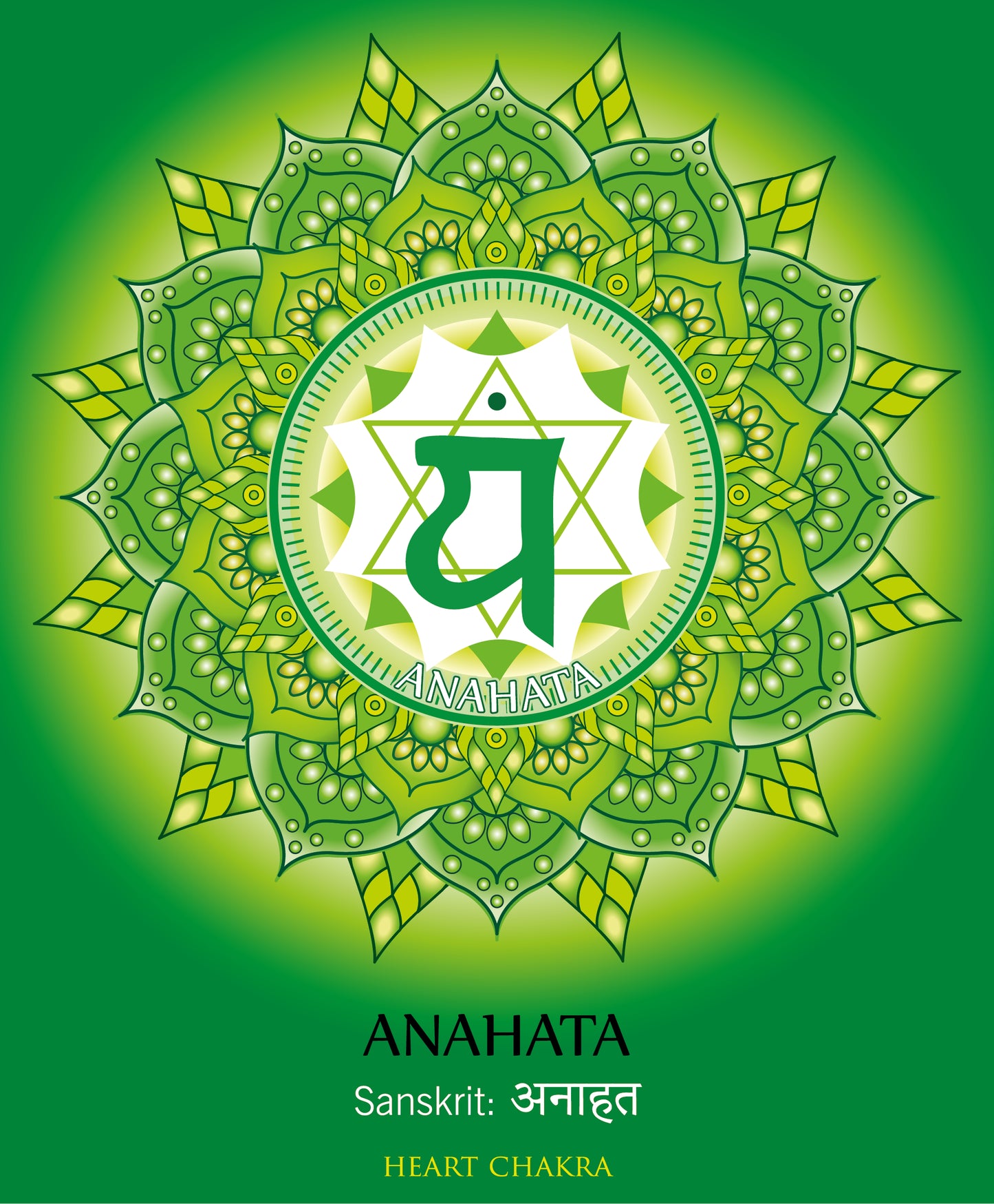 HERBAL INCENSE - Chakra Incense Sticks 10g